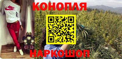 мяу мяу мука Ачхой-Мартан