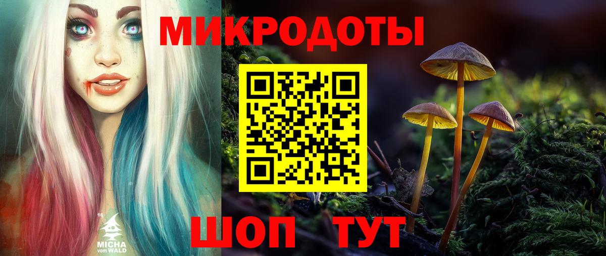 Галлюциногенные грибы Psilocybe  Галлюциногенные грибы Magic Shrooms  Горно-Алтайск  Вход с VPN 