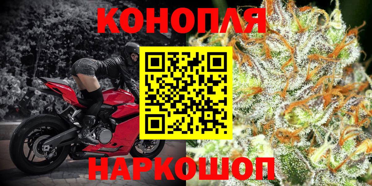 МАРИХУАНА планчик Горно-Алтайск